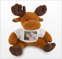 Elch "Knut"