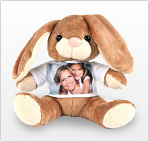 Hase Bunny