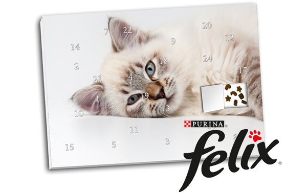 Foto Adventskalender für Katzen